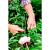 Steunring pinnup rond d38cm