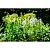 Steunring pinnup 1/3 rond d81cm
