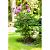 Grondpin pinnup stand h100cm