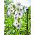 Grondpin pinnup stand h100cm