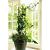 Verbindingsclips trellis vario 8st