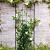 Trellis s incl. 4 muurbev. groen