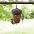 Vogelbad krmk vogelvoer d34h11cm
