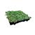 Sedumcassette kant en klaar 57 cm x 38 cm x 6cm €15,80  p/s en €72,95 p/m2
