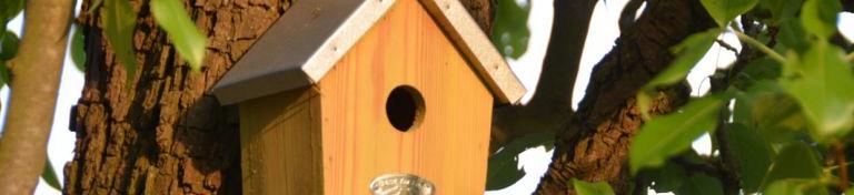 Vogelhuisjes & insectenhotels Voorjaar/Zomer